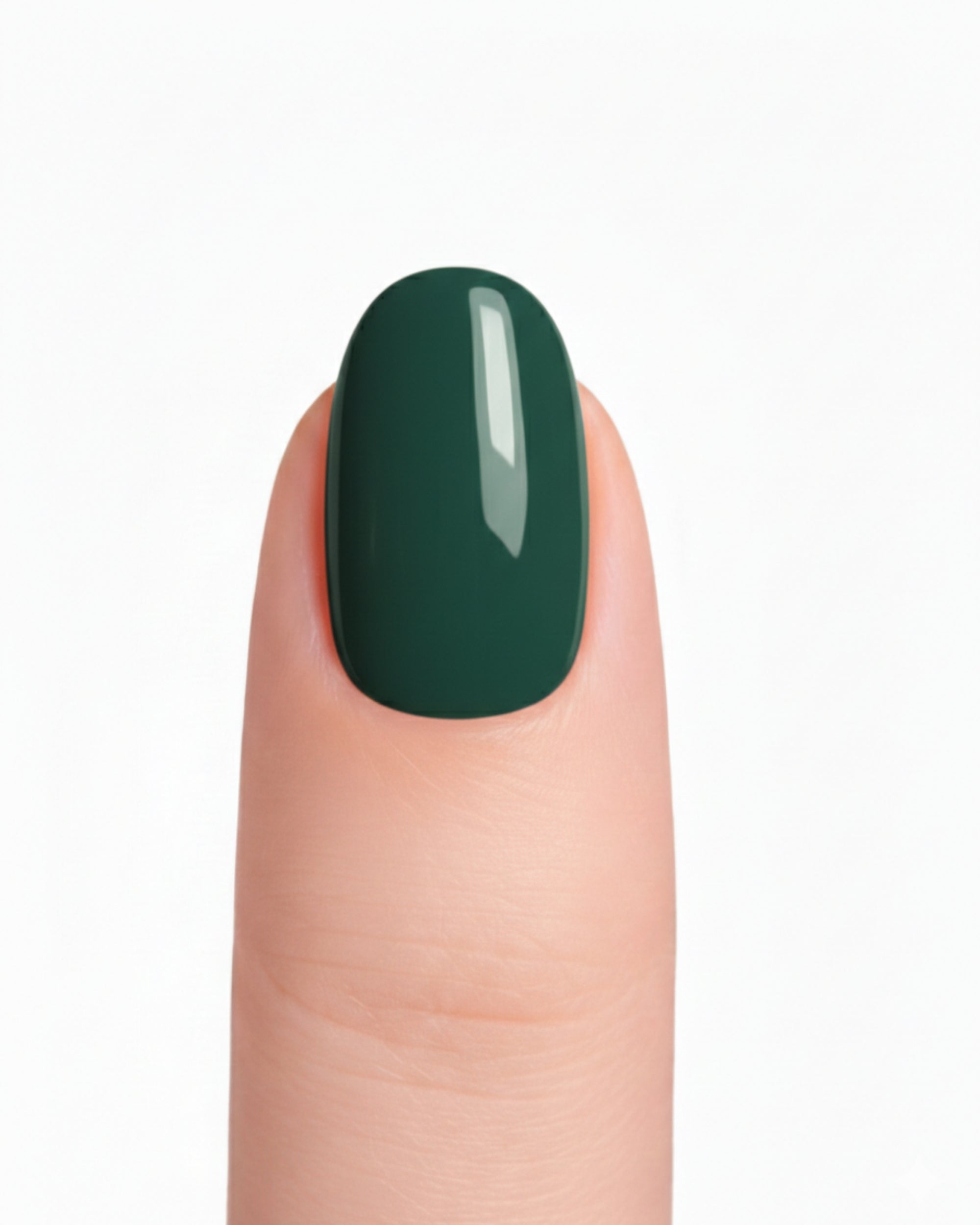 Forest Velvet