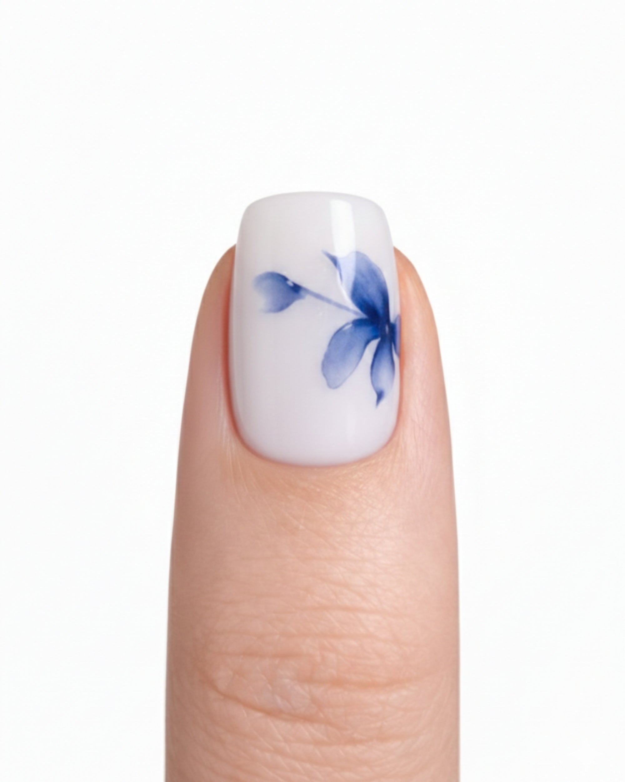 Silky Morpho