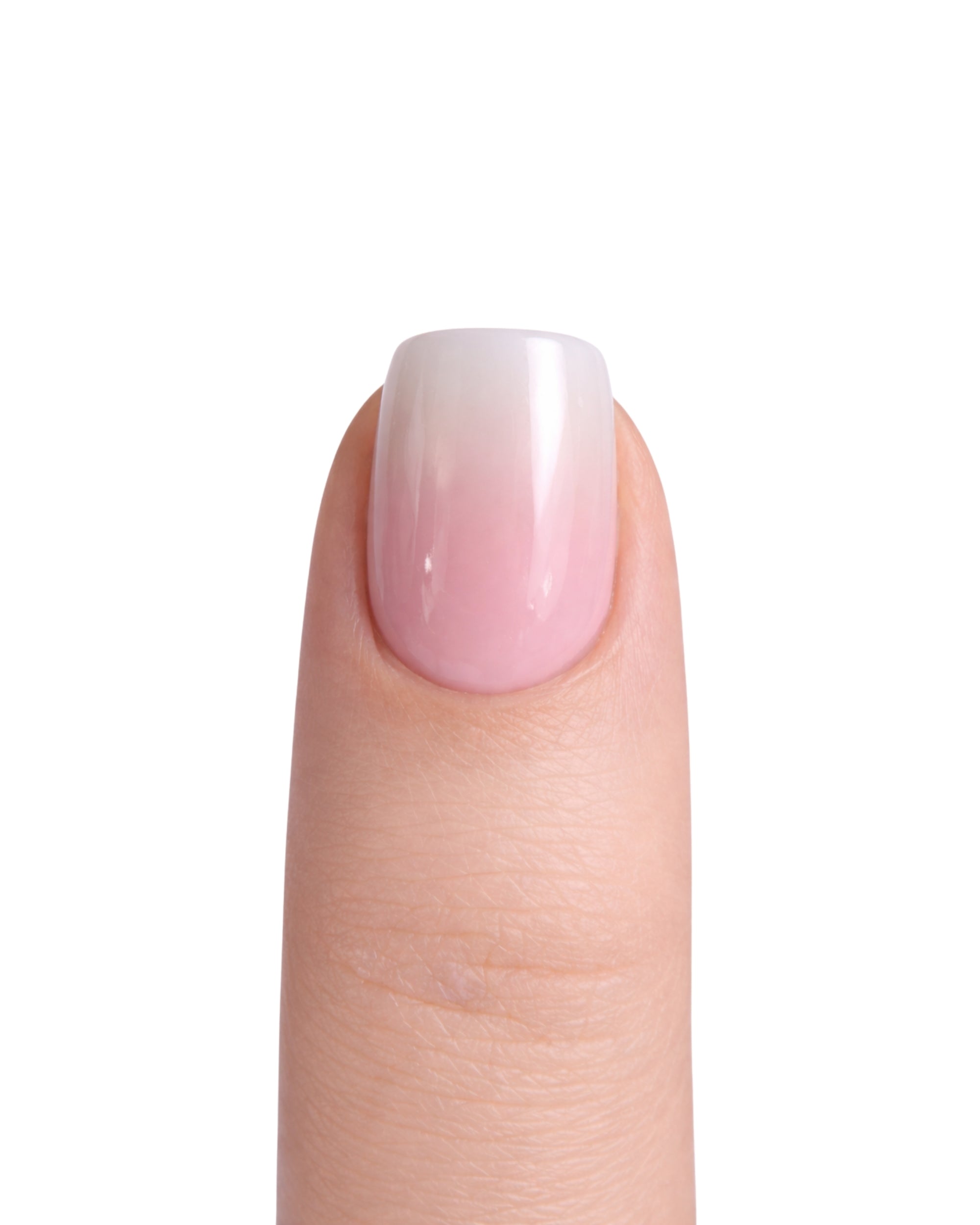 Milky Petals