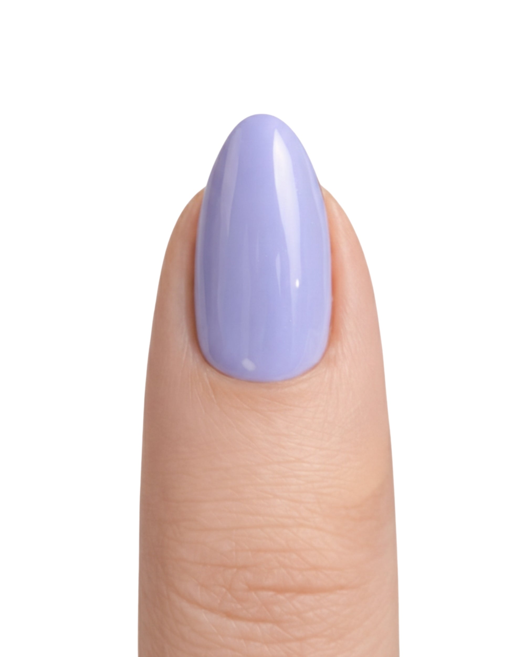 Lilac Daydream