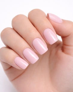 Pink Fairy