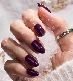 Midnight Plum