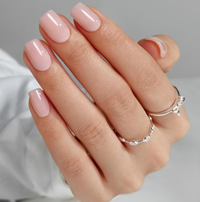 Nude Muse